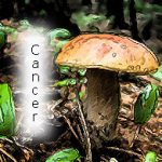 cancer-and-mushroom