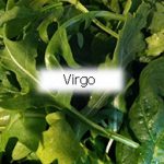 virgo-and-lettuce